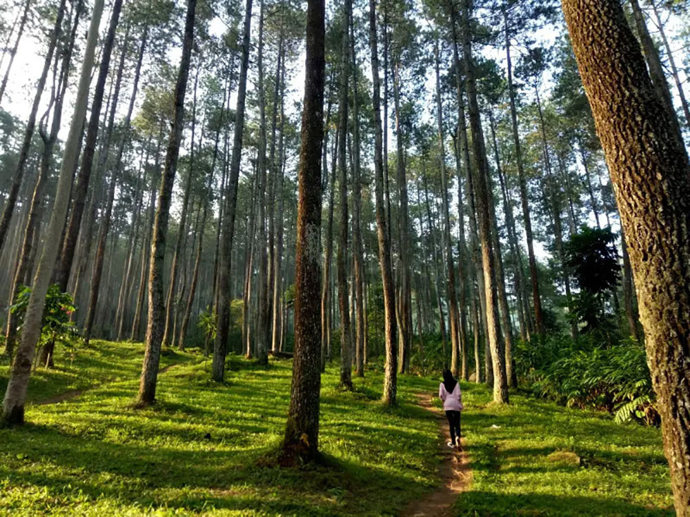 Hiking Batu Kuda & Manglayang