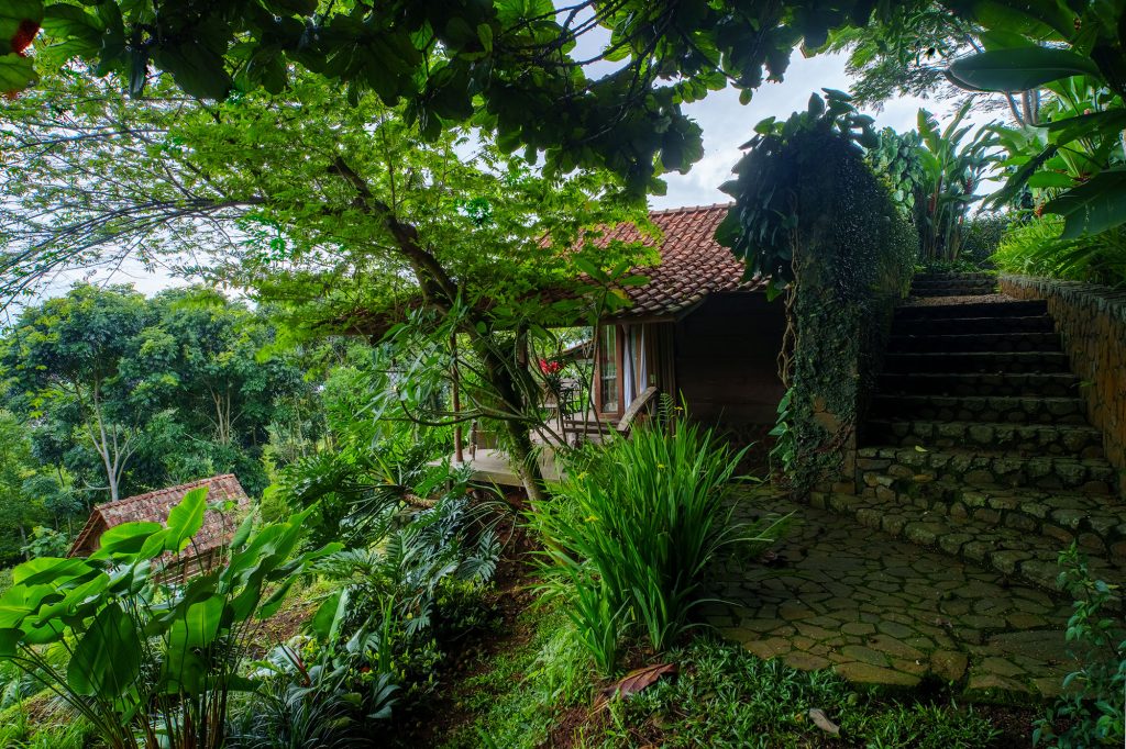 Gardens